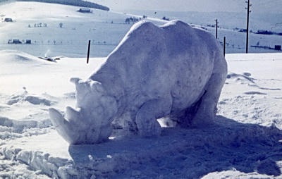 Nashorn